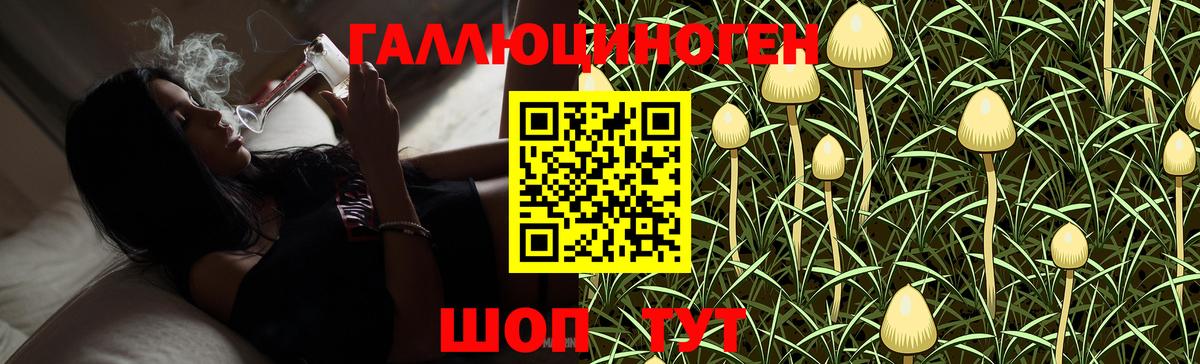 Псилоцибиновые грибы прущие грибы  Галлюциногенные грибы MAGIC MUSHROOMS  Вход с VPN  Свободный 